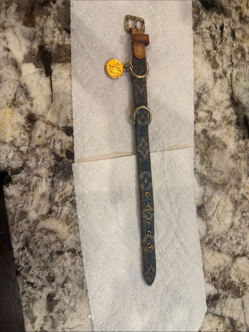 Louis Vuitton dog collar. Denim  blue.